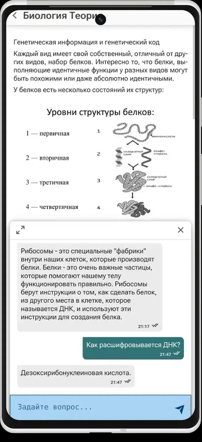 Cyber Repetitor: вопрос по теории